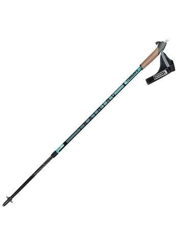 Трекінгові палиці Masters (335405100)