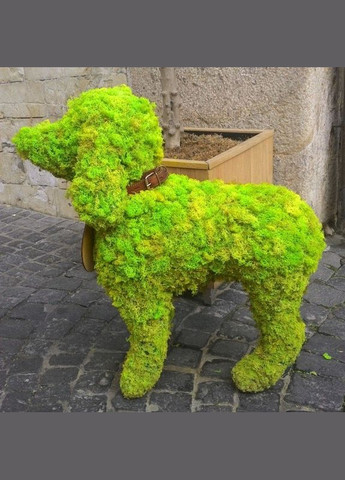 Очищений стабілізований мох ягель Зелений весняний 0,5 кг Nordic moss (276401078)