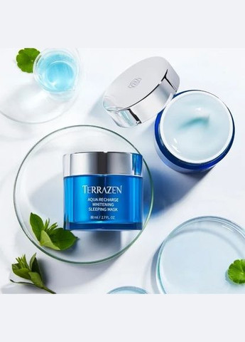 Интенсивно увлажняющая маска для лица с отбеливающим эффектом AQUA RECHARGE WHITENING SLEEPING MASK, 80 мл TERRAZEN (325690073)
