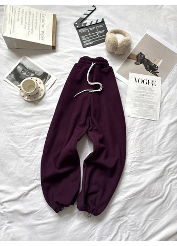 Штани жіночі на хутрі Style Point (369378754)