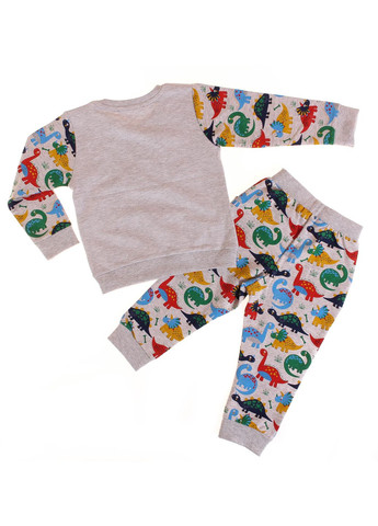 Сірий демісезонний футболка з довгим рукавом + брюки 15932 сірий меланжевий Breeze