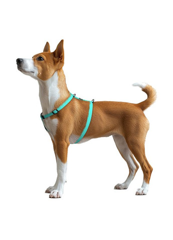 Шлея для собак водостійкий Magnet c QR-паспортом, магнітна пряжка, S, Ш 15 мм, А 28-42 см, 32-52 см, тиффані WAUDOG (332256900)