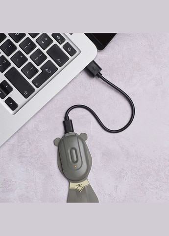 Закладка-фонарик Rechargeable Друзья Пират, 14,7х3,6х1,3 см () FLEXILIGHT FLRPPI (328394101)