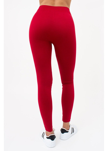 Легінси безшовні непрозорі Leggings model 2 Giulia (356567073)