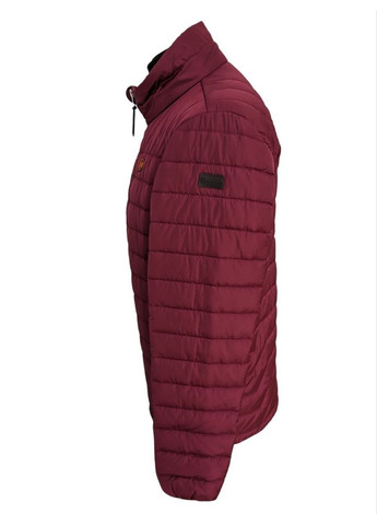 Комбинированная демисезонная куртка k-03 light blue Borenia