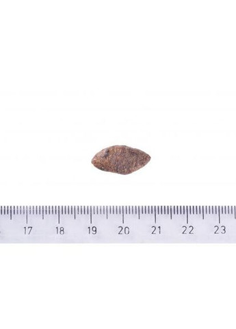 Сухой корм Dog Sustainable Sensitive для собак с чувствительным пищеварением, с рыбой и насекомыми, 1 кг Brit Care (322874662)