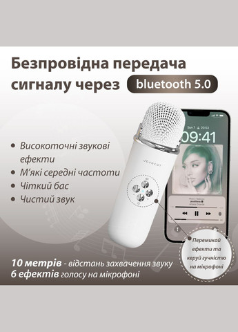 Портативна колонка з мікрофоном Platinum C-20 BT/TF/USB/FM з вологозахистом 5 Вт, біла No Brand (358649708)