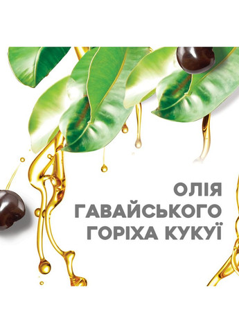 Шампунь Kukui Oil Увлажнение и гладкость 385 мл (0022796974211) OGX (372625629)