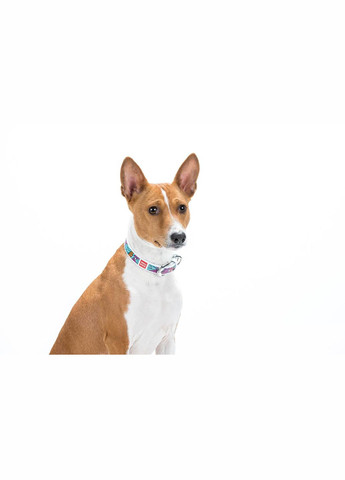 Нашийник для собак шкіряний Design з "Літо" Ш 20 мм Д 30-39 см білий WAUDOG (279562641)