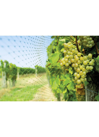 Сітка для захисту рослин 4х5 м зелена Parkside (314925412)