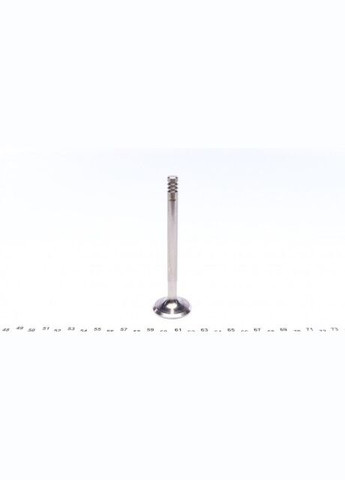 Клапан (випуск) Ford Transit 1.8TDCi 02-13 (32x8x108,7mm) (азотований) PFOR182-A-0-N (opt-om) AMP (339628949)