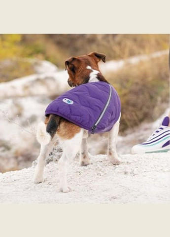 Жилет «E.Vest» для собак, розмір, фіолетовий (*) Pet Fashion (323153953)