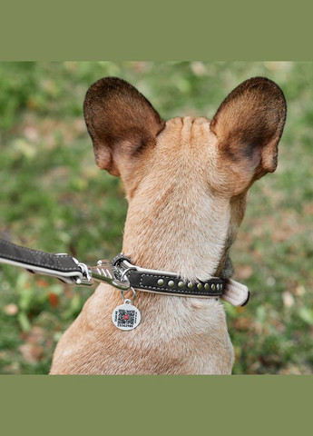 Ошейник для собак кожаный Soft с QR паспортом, металлические украшения, Ш 20 мм, Длин 30-39 см черный WAUDOG (322001542)