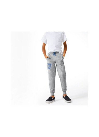 Серые спортивные демисезонные брюки джоггеры Pepperts