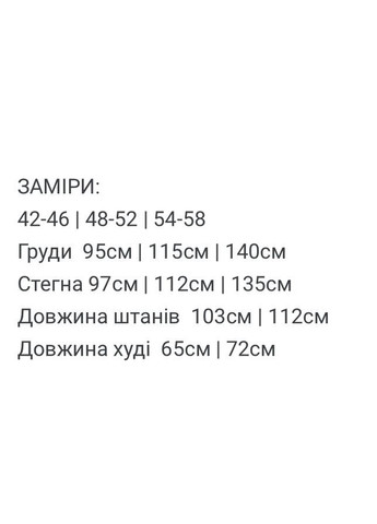 Жіночий флісовий спортивний костюм FINO Mode (366152453)