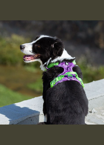 Шлея для собак Tropical, регулируемая светоотражающая нейлоновая шлея, Фиолетовый L (69-81см) Truelove (299915373)
