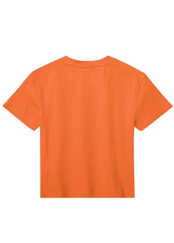 Комбинированная демисезонная футболка 2шт Lupilu