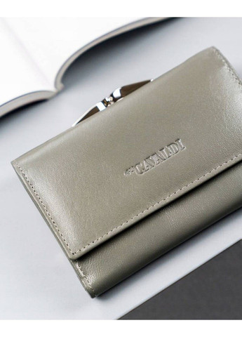 Гаманець жіночий шкіряний RD-18-GCL 4U Cavaldi (339041386)