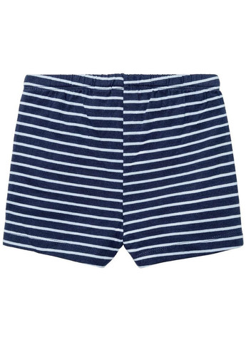 Шорты Lupilu (347580669)