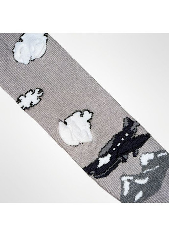 Детские колготки хлопчатобумажные для мальчика Молочные De 3D (1140) Melatti Літак (365816396)