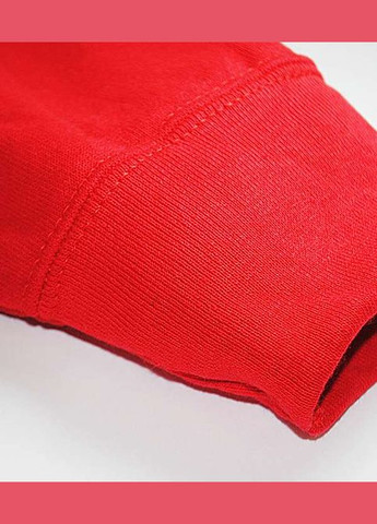 Реглан мужской Classic raglan sweat Фиолетовый (0622160PEL) Fruit of the Loom (311607916)