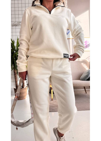 Костюм НОВИНКА худі та штани Джогери,Фліс Полар дуже теплий Україна (366892767)