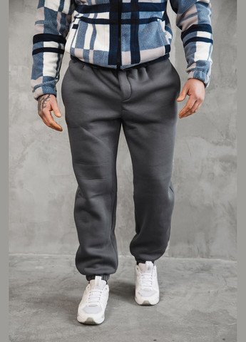 Штани чоловічі спортивні на флісі преміум No Brand штани (315055945)