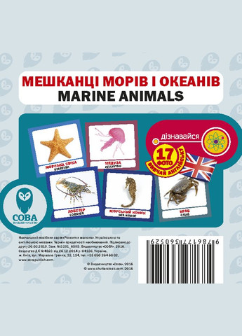 Комплект Учим английский. Животные («в зоопарке» + «100 слов о животных» + карточки) (СОВА) Сова (340546179)