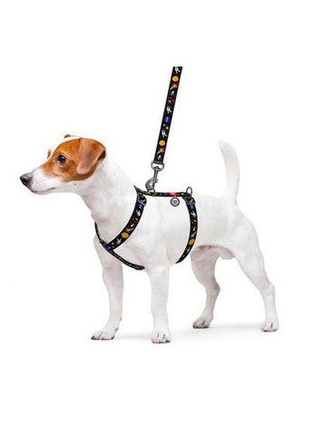 Шлейка для собак анатомическая H-образная Waudog Nylon с QR-паспортом, рисунок Nasa Collar (362571920)