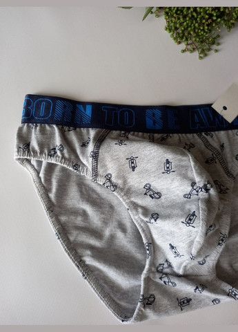 Чоловічі труси сліпи з широкою гумкою 943 розмір Л Lama (368787723)