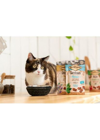 Ласощі Cat Semi Moist Snack для котів, сардина та петрушка, 50 г (*) Carnilove (322589870)