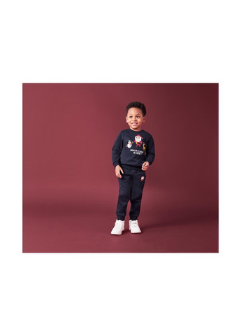 Lupilu свитшот с начесом для мальчика lidl 457225 темно-синий темно-синий повседневный трикотаж, полиэстер, хлопок