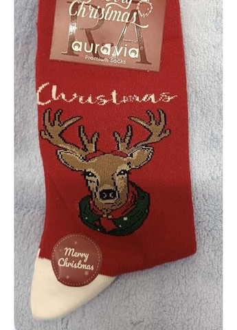 Білі шкарпеткти чоловічі різдвяні та новорічні 39-42 auravia (арт3260) новорічні (368999635)