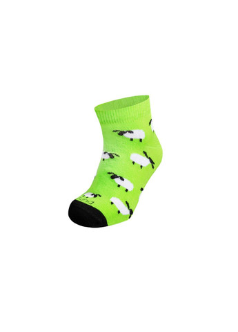 Набор (3 шт) детских носков Duna 4062_3 (305403962)