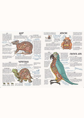 Тварини. Як це працює? Нікола Кухарська Видавничий дім Школа (273239145)