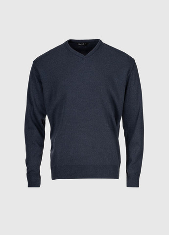 Синий демисезонный пуловер пуловер Akin Trico