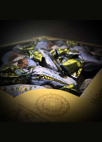 Цукерки кокосові ASAL 1 кг з м’якоттю кокоса в шоколадній глазурі Асал (Asal-Coco-1000) No Brand (340479374)