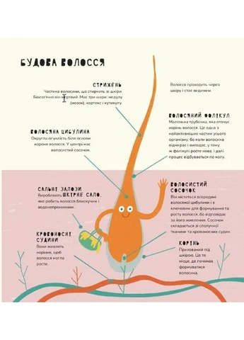 Книжка про ВОЛОСЫ Mamino (393737266)