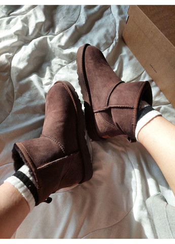 Уггі Жіночі UGG Classic Mini II (Замша) (366196712)