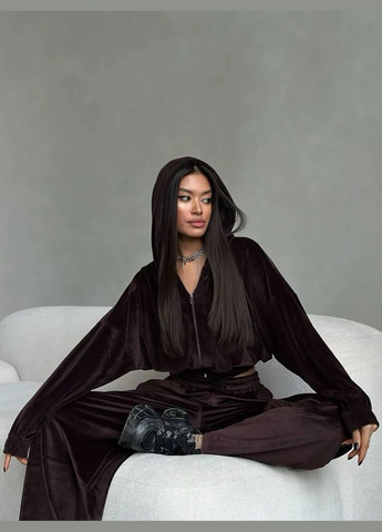 Велюровый костюм Україна (346331585)