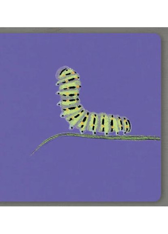 Insects. Collect the rainbow Артбукс (370068297)