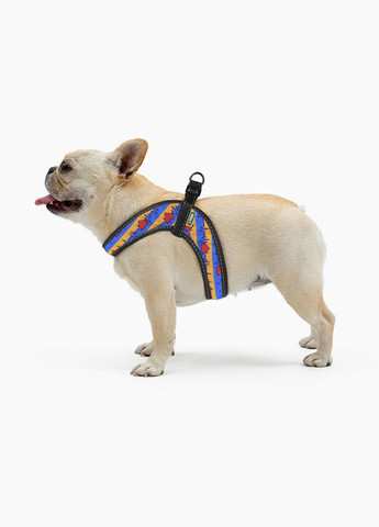 Шлея Comfort Життя M обхват грудної клітки 42-48 см (2100103106017) Hi Dog (332880237)