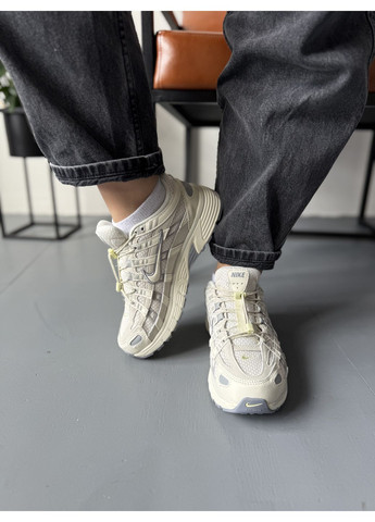 КРОСІВКИ ЖІНОЧІ NIKE P-6000 BEIGE GREY VIOLET НАЙК П-6000 No Brand сірі демісезони (368857790)