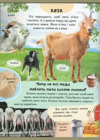 Енциклопедія. ФЕРМА Пегас (316083348)