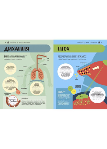 Енциклопедія STEM для дітей: 100 понять майбутнього генія Дженні Джекобі РАНОК (329058263)