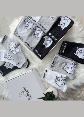 Чёрные носки рип н дип 12 пар упаковка (307085889)