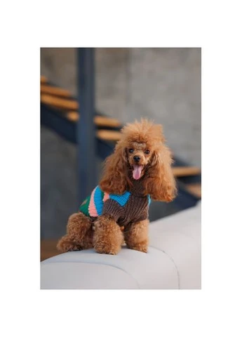 Светр Happy для собак, розмір (*) Pet Fashion (323153844)