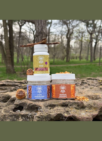 Курс Heart Power: Для сердечно-сосудистой системы (1 месяц) Лісовик (334292846)