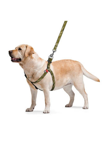 Шлея для собак Nylon з QR-паспортом, M, Ш 20 мм, А=В 50-80 см WAUDOG (322642981)