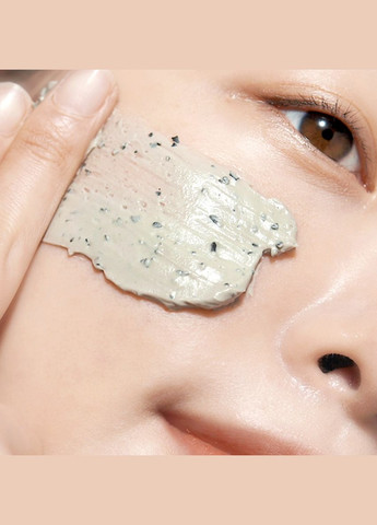 Маска для обличчя Calming Pore Clear Wash Off Pack глиняна 100 мл Pyunkang Yul BT19998 (346392108)